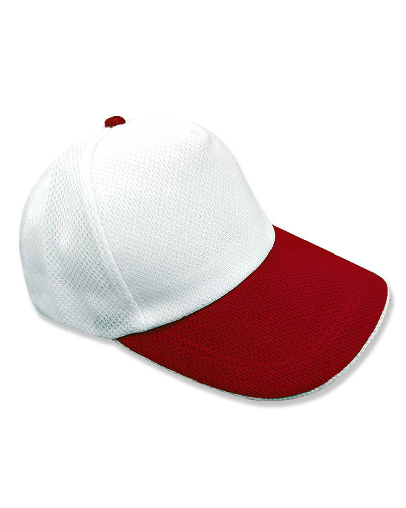 五片 交織網帽 日型