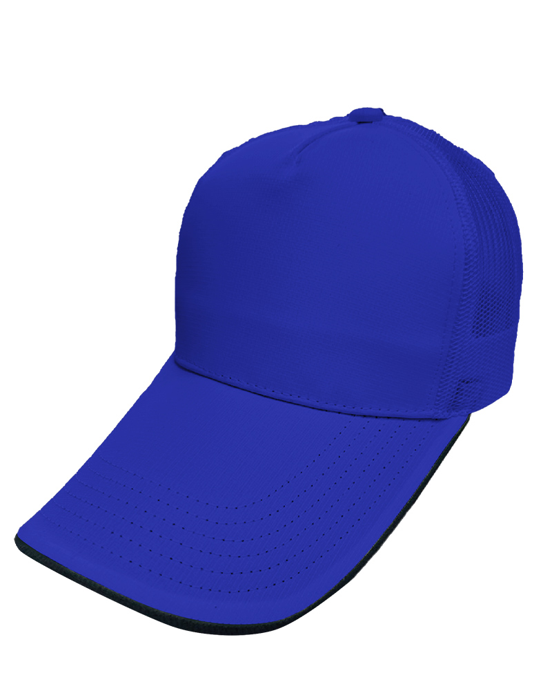 格中點五片網帽-寶藍