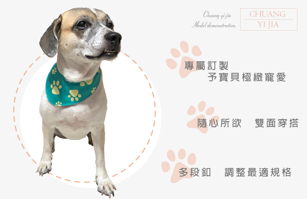 創意家團體服-寵物服飾 訂製款