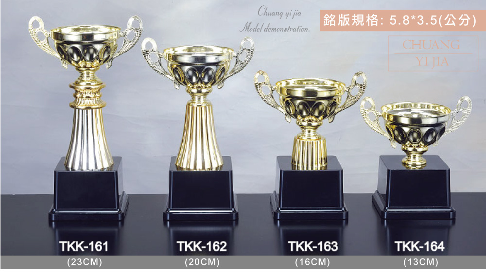 創e家活動獎盃