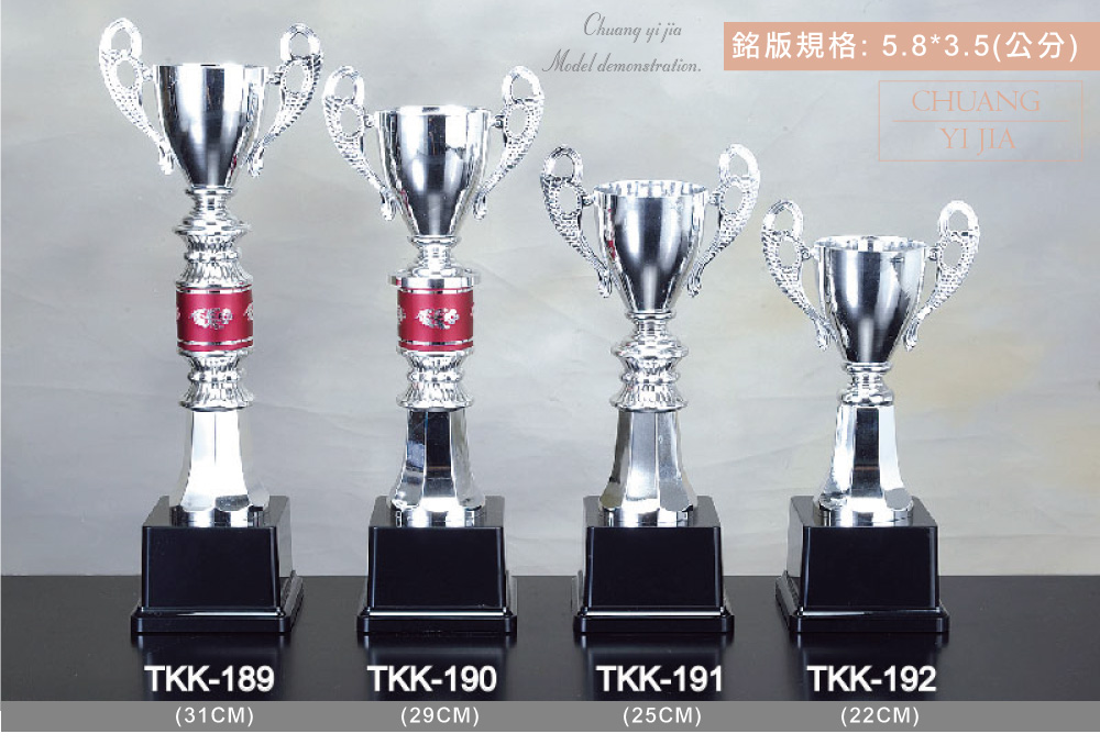 創e家活動獎盃