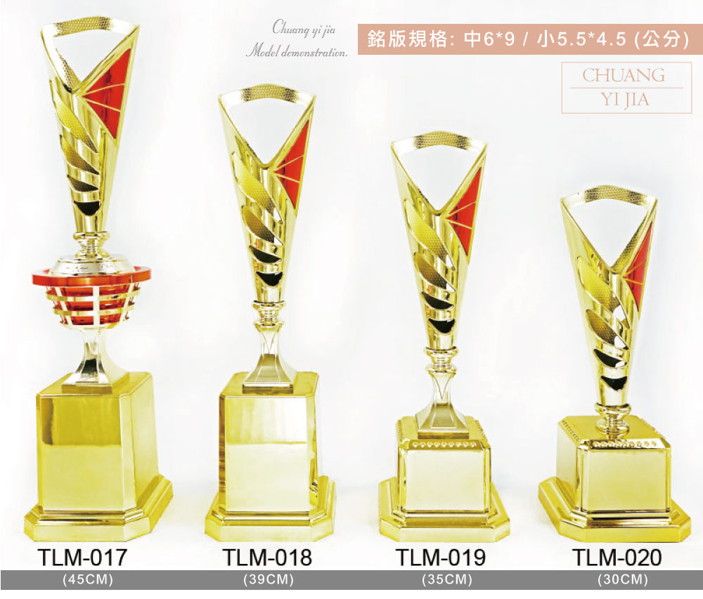 創e家活動獎盃