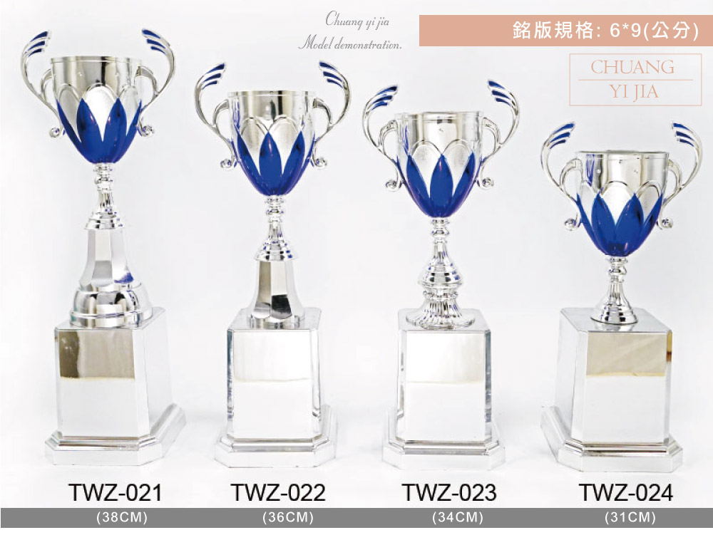 創e家活動獎盃