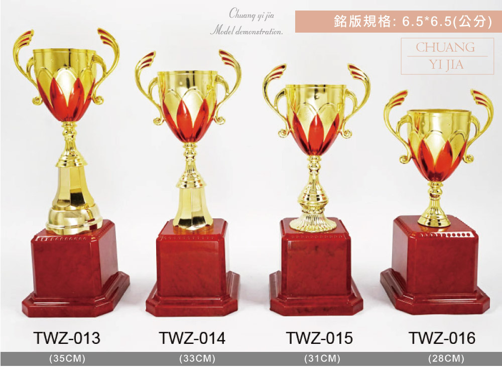 創e家活動獎盃