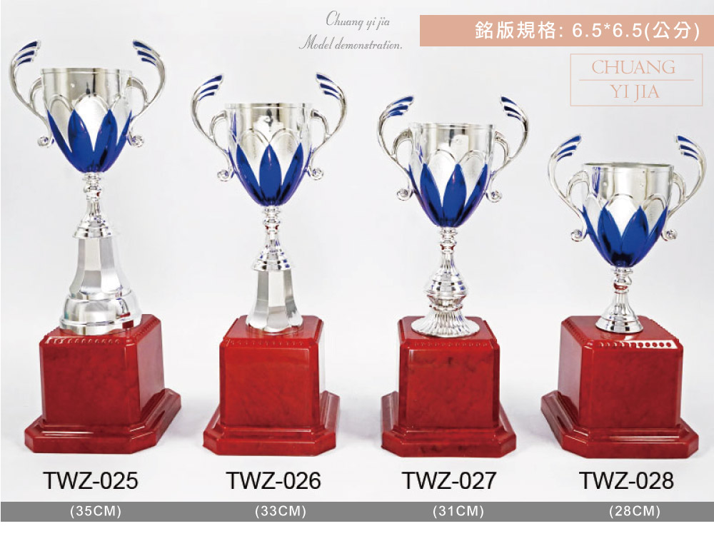 創e家活動獎盃