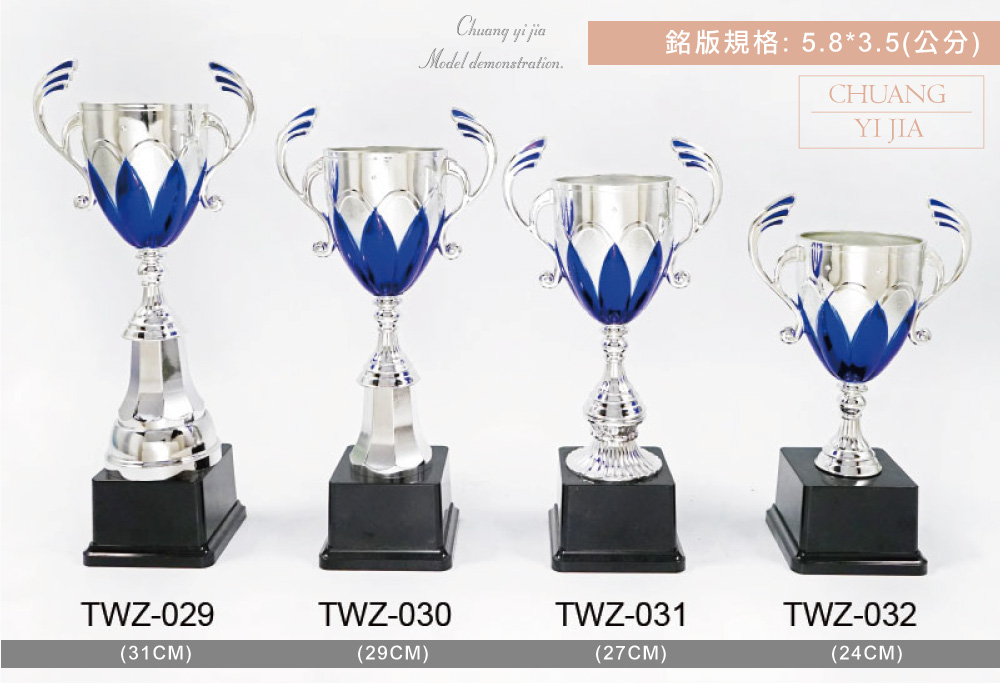 創e家活動獎盃