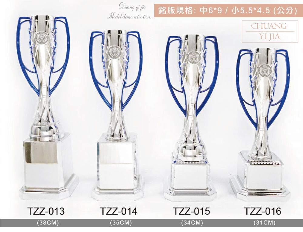 創e家活動獎盃
